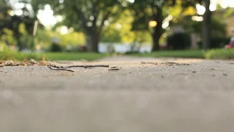 Child riding bike toward camera Stock Footage 77583553