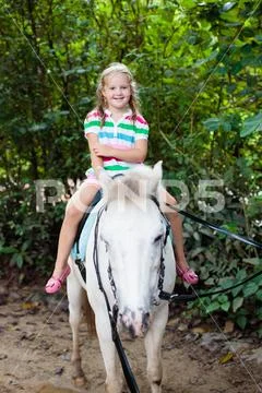 Child riding horse. Kids ride pony. Stock Photos