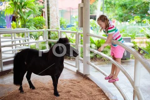Child riding horse. Kids ride pony. Stock Photos