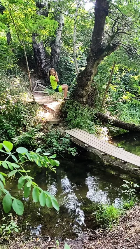 A child riding on a zip line over a creek, surrounded by lush forest and a small Stock Footage 297982879