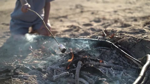 Child roasting marshmallow over campfire on sandy beach. Sunny outdoor  Stock Footage 341989622