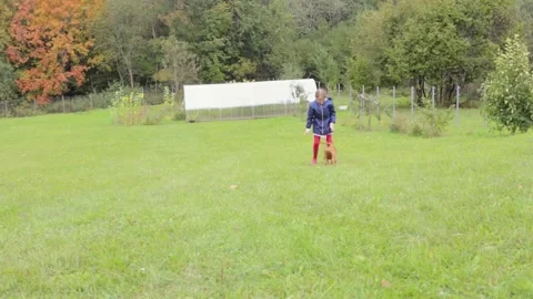 A child roll somersault down a mountain while playing with a French mastiff Video stock 229857952