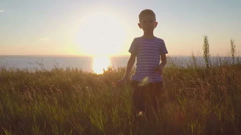Child run in the field at sunset Video stock 93180760