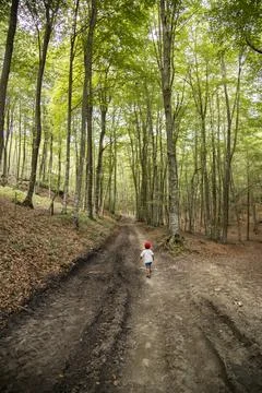 Child running along forest path exploring nature 库存照片