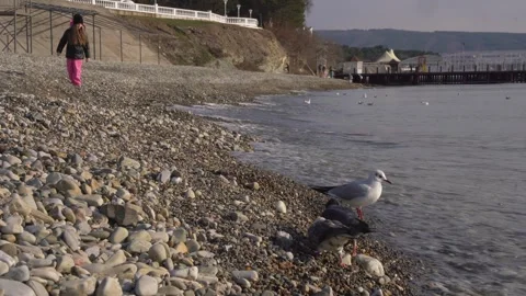 Child running away from the waves Stock Footage 307385528