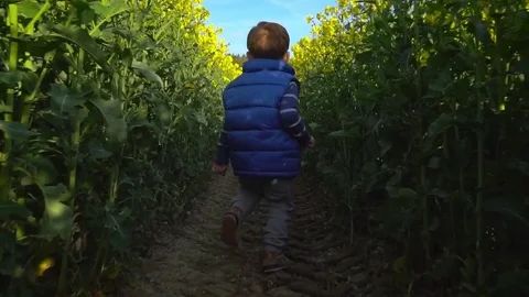 Child running in  rape flower field in slow motion. Stock Footage 74804351