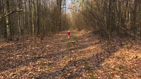 Child running through early spring forest in Poland. Stock Footage 172135723