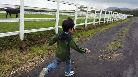 A child running zigzag along the ranch's fence Stock Footage 117416367