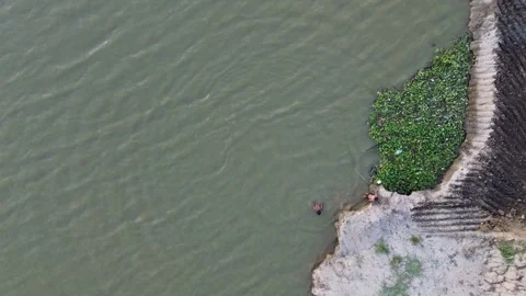 Child Runs at Pier and Dives into River Video stock 260129341