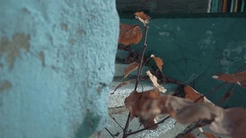 The child runs up the steps Stock Footage 85259245