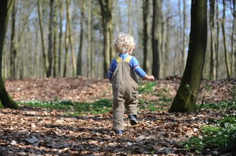 Child runs through forest Stock Photos