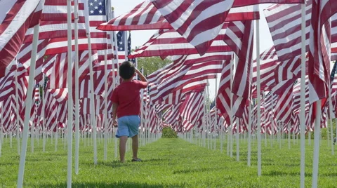 Child saluting flags Video stock 68572002