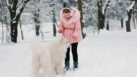 A child with a Samoyed dog Stock-Footage 150152241