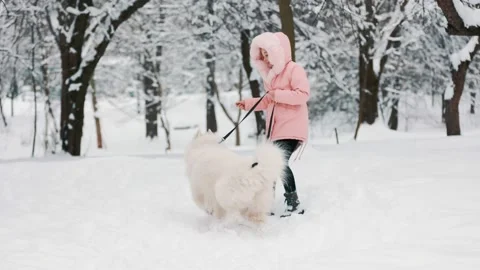 A child with a Samoyed dog Video stock 150619811