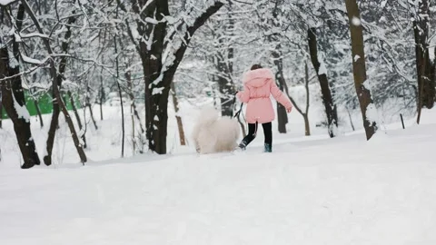 A child with a Samoyed dog Stock Footage 150680933
