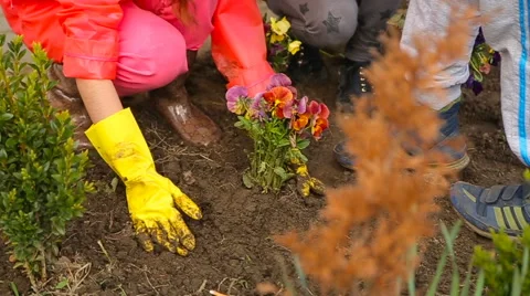 Child seats tree in gloves Stock Footage 63142955