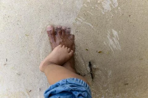 Child seeking support from parent while standing on wet sand 库存照片