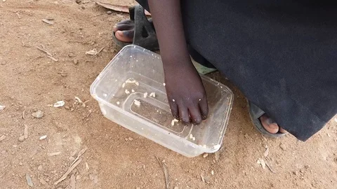 A Child Sits in Dirt and Eats Rice co Stock Footage 115663358