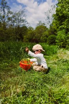 A child sits on a grassy path, picking up grass and putting it in an orange b 库存照片