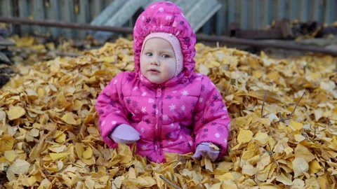 The child sits half in the fallen leaves and has fun Stock Footage 141468470