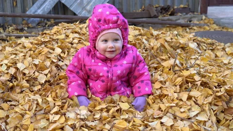 The child sits half in the fallen leaves and has fun Stock Footage 141468614