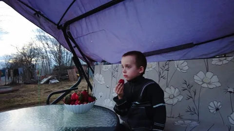 Child sits outside in evening light and enjoys strawberries on a patio swing whi Stock-Footage 332067101