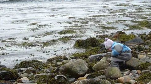 Child sitting on the beach throwing rocks in the water Video stock 2545881