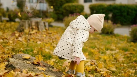 The child is sitting in the park on a stump surrounded by autumn leaves. A Stock Footage 220038948