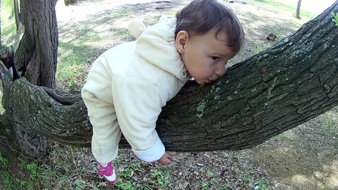 A child is sitting on a tree in the park Stock Footage 108616531