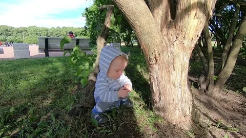 A child is sitting under a tree in the park Stock Footage 134524973