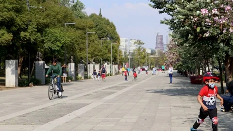 Child skating in the forest of Chapultepec Stock-Footage 171433988
