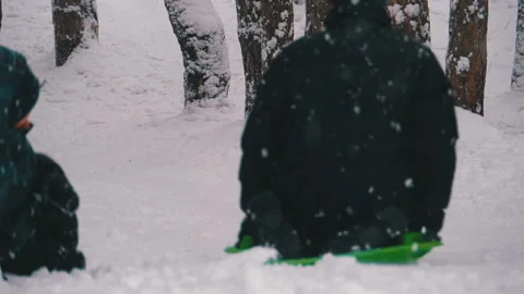 Child Sledding Down a Snowy Hill in Pine Forest. Slow Motion Stock Footage 101311081