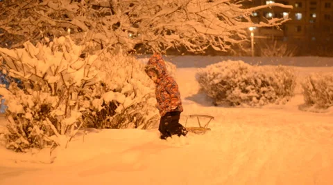 Child Sledding in Snow, Kid Playing, Sledging in Park in Winter, Night Light Vídeos de archivo 47164087