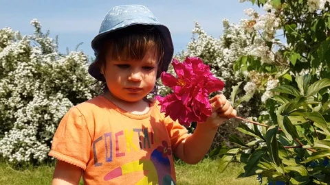 Child Smelling A Flower Stock Footage 109794742
