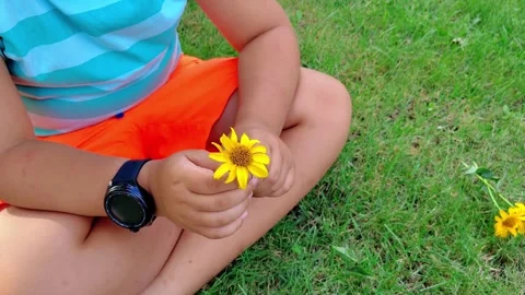 Child Spinning Yellow Flower in Hands on Grass Video stock 342589367