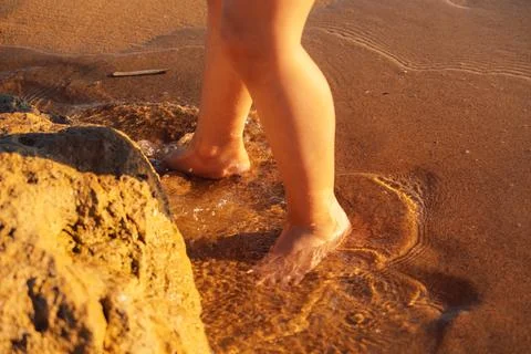 Child stands on beach at sunset, feeling water wash over feet while enjoying  Stock Photos