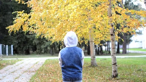 The child stands with his back to the camera and throws up yellow autumn leaves. Stock Footage 144195062