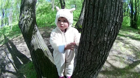 A child stands on a tree in the park 库存影片 108616604
