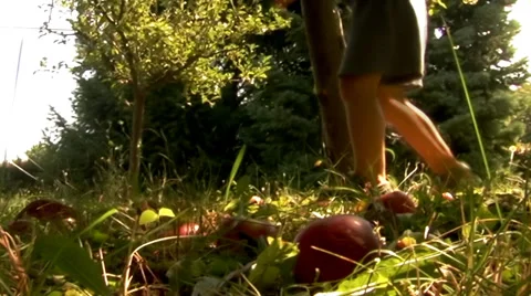 Child steps Stock Footage 34424756