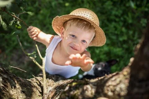 Child with straw hat climbs a tree 스톡 사진