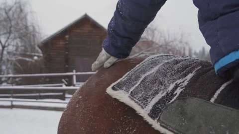 The child strokes the horse while sitting on it. Close-up of a hand.  Video stock 170384361