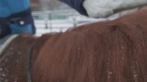 The child strokes the horse while sitting on it. Close-up of a hand. Video stock 271134898