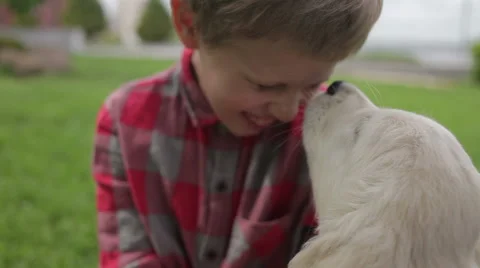 Child stroking and hugging his dog. Boy playing with dog in the park. Stock Footage 68963846