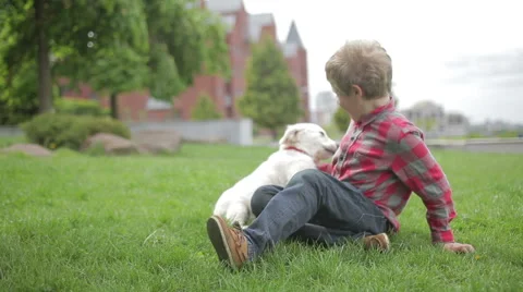 Child stroking and hugging his dog. Boy playing with dog in the park. Video stock 68963931