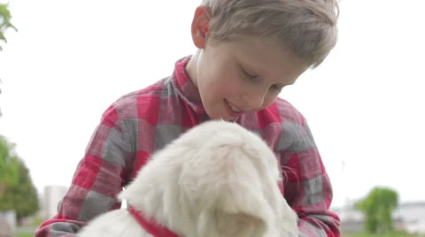 Child stroking and hugging his dog. Boy playing with dog in the park. Stock Footage 68964157