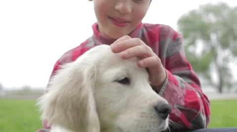 Child stroking and hugging his dog. Boy playing with dog in the park. Stock Footage 68964216