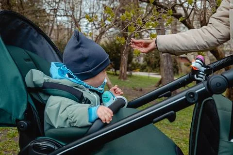 Child in a stroller looking for spring tree in the park Stock Photos