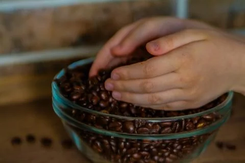 A child studies coffee beans Stock Photos