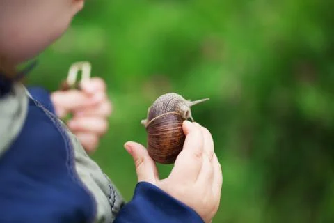 The child is studying the world. Stock Photos