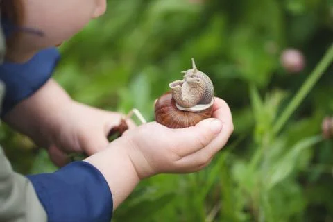 The child is studying the world. Stock Photos